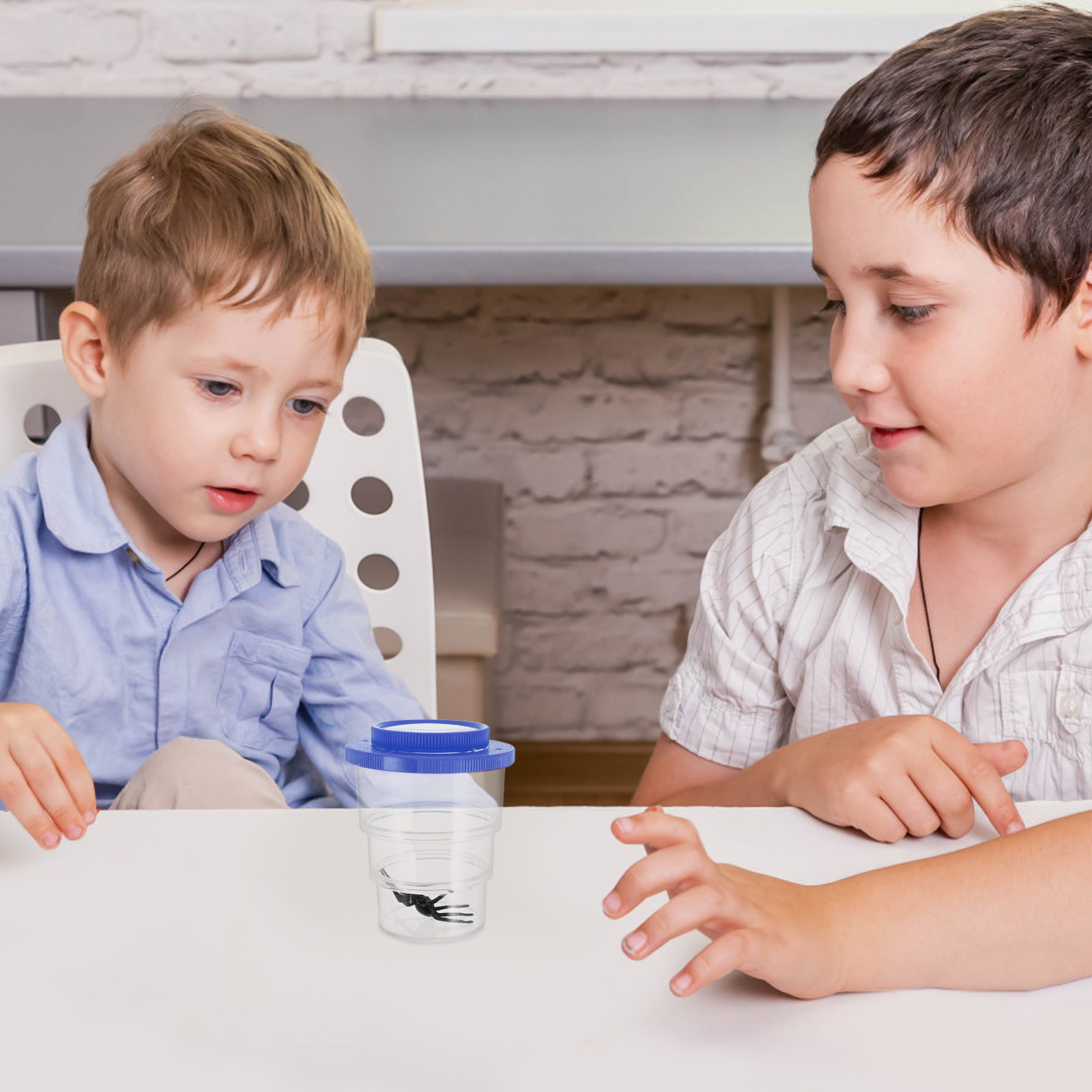 Science Kit - Insectenobservatiebox met drie compartimenten, verstelbare vergrootglas,